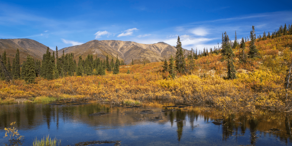 Yukon Environment Standards Protecting the Environment