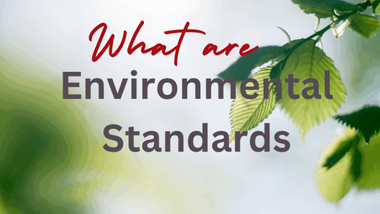 What are environmental standards video