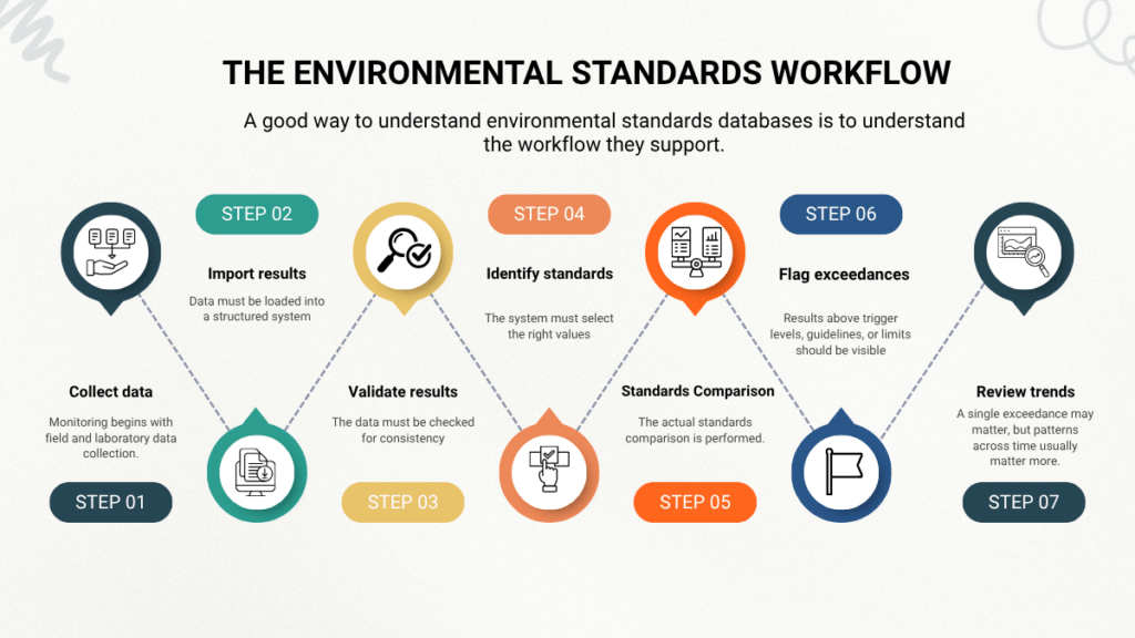 The Environmental standards workflow
