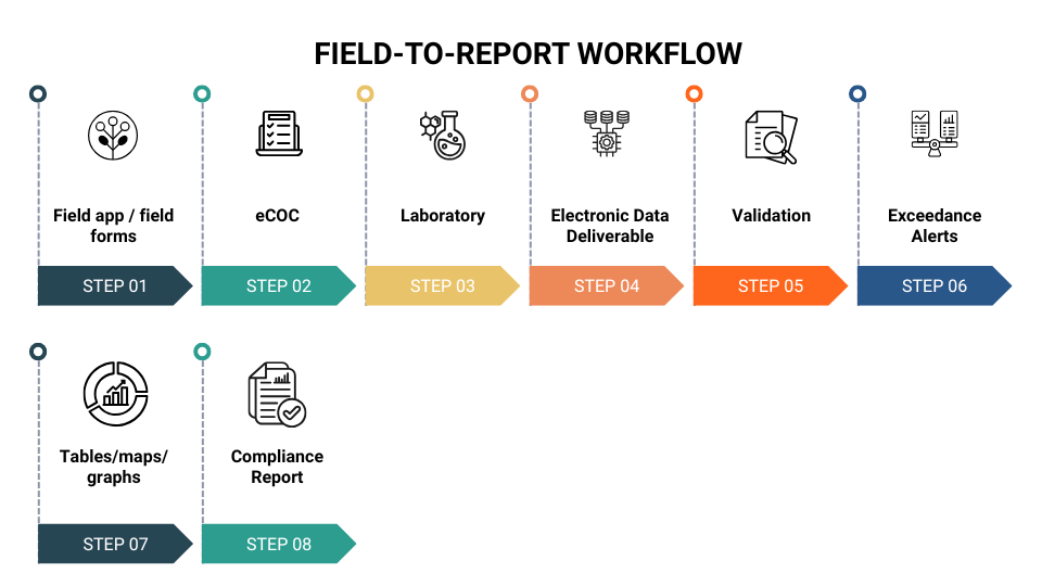 Field-to-Report Workflow
